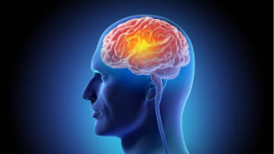 Zihni Genç Tutan Formül: MIND Diyeti Beyin Hacmini Koruyor