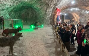 Raylarda 90 Yıllık Miras: Turistik Tuz Ekspresi 2026 Sezonunu Açtı